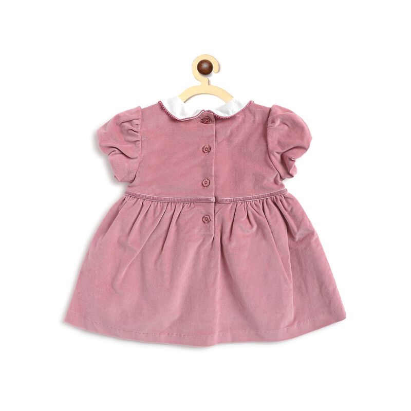 Velour Short Sleeve Dress with Collar image number 1